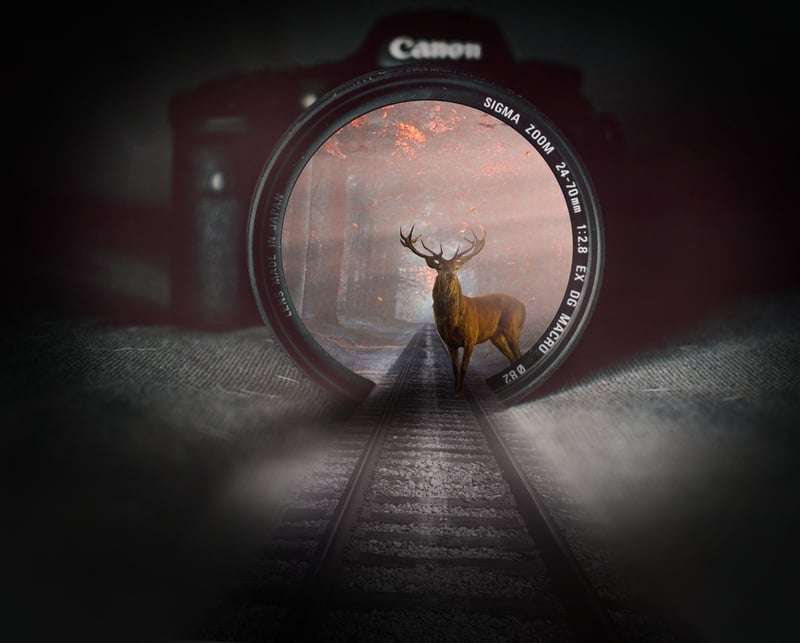 Alternate Reality Image